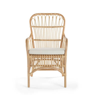 Bayou breeze cane online armchair